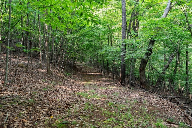 2476 Ennis Mountain Rd, Afton, VA 22920