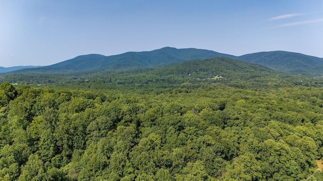 2476 Ennis Mountain Rd, Afton, VA 22920