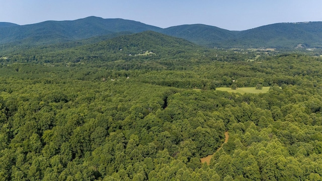 2476 Ennis Mountain Rd, Afton, VA 22920