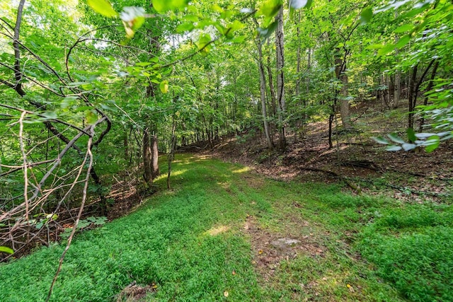 2476 Ennis Mountain Rd, Afton, VA 22920