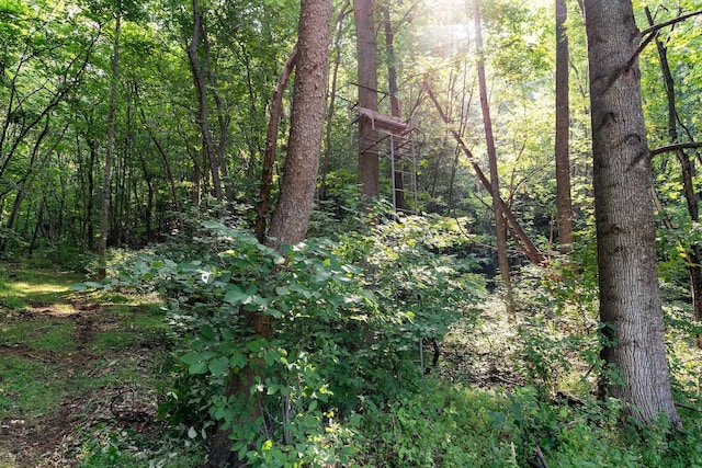 2476 Ennis Mountain Rd, Afton, VA 22920