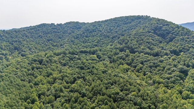 2476 Ennis Mountain Rd, Afton, VA 22920