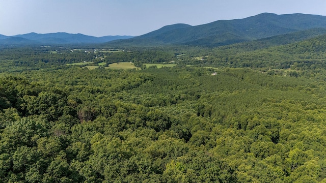 2476 Ennis Mountain Rd, Afton, VA 22920