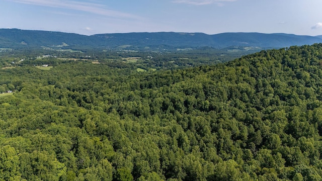 2476 Ennis Mountain Rd, Afton, VA 22920