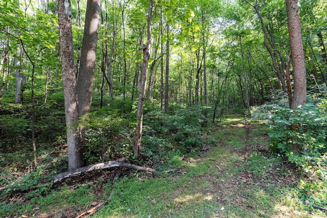 2476 Ennis Mountain Rd, Afton, VA 22920
