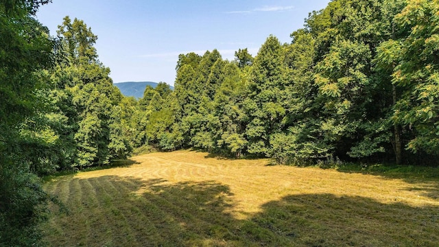 2476 Ennis Mountain Rd, Afton, VA 22920