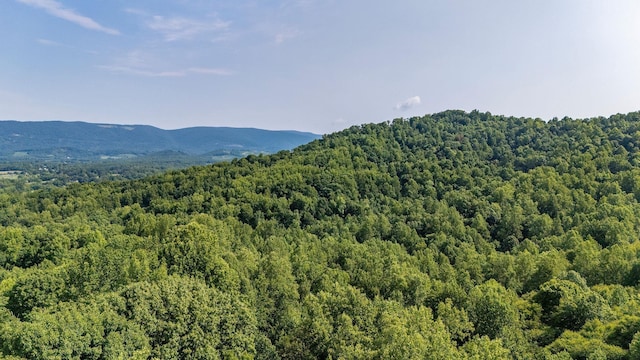 2476 Ennis Mountain Rd, Afton, VA 22920
