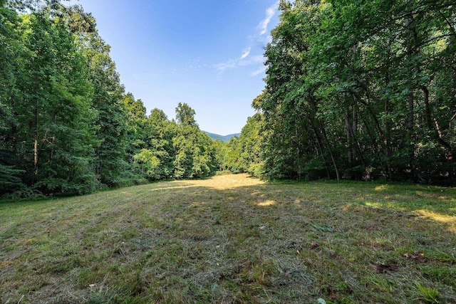 2476 Ennis Mountain Rd, Afton, VA 22920