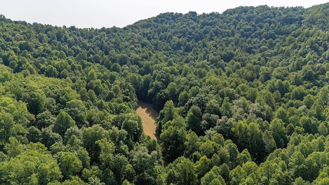 2476 Ennis Mountain Rd, Afton, VA 22920