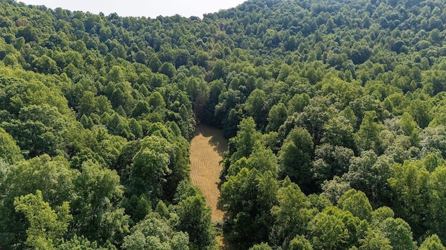 2476 Ennis Mountain Rd, Afton, VA 22920
