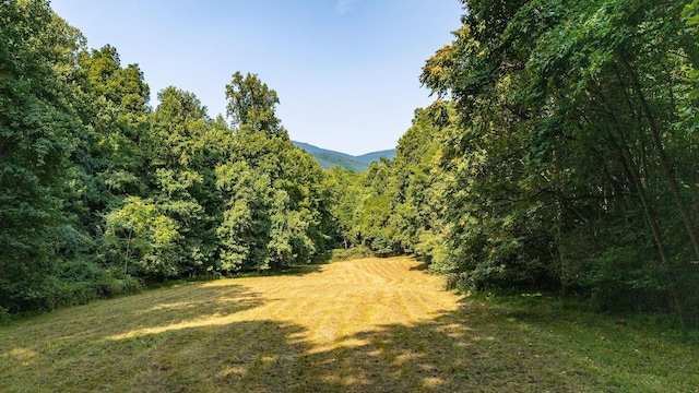 2476 Ennis Mountain Rd, Afton, VA 22920