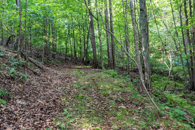 2476 Ennis Mountain Rd, Afton, VA 22920