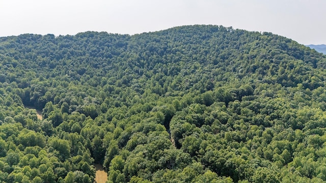 2476 Ennis Mountain Rd, Afton, VA 22920