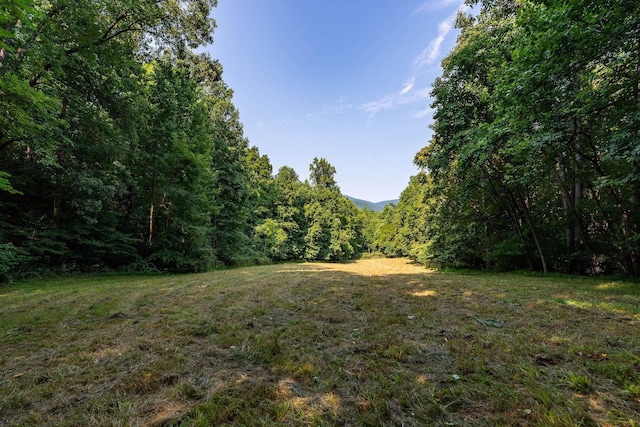 2476 Ennis Mountain Rd, Afton, VA 22920