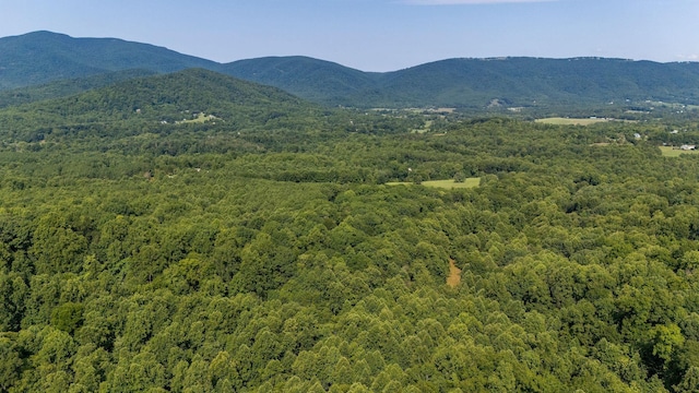 2476 Ennis Mountain Rd, Afton, VA 22920
