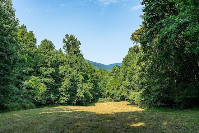 2476 Ennis Mountain Rd, Afton, VA 22920
