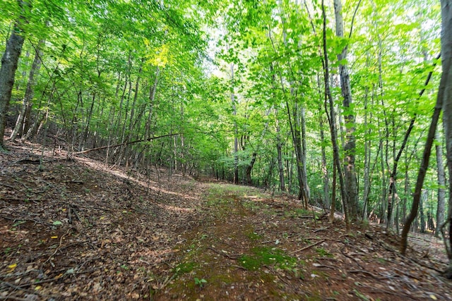 2476 Ennis Mountain Rd, Afton, VA 22920