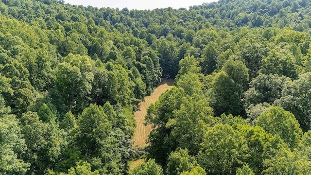 2476 Ennis Mountain Rd, Afton, VA 22920