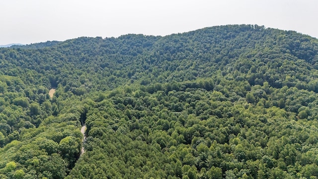 2476 Ennis Mountain Rd, Afton, VA 22920