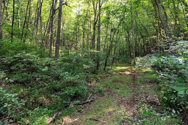 2476 Ennis Mountain Rd, Afton, VA 22920