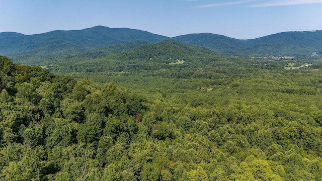 2476 Ennis Mountain Rd, Afton, VA 22920