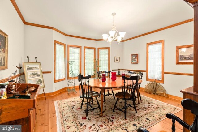 12520 Paige Ln, Fredericksburg, VA 22407 - photo 42