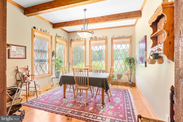 12520 Paige Ln, Fredericksburg, VA 22407 - photo 39