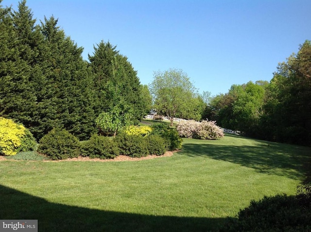 12520 Paige Ln, Fredericksburg, VA 22407 - photo 10