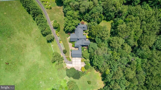 12520 Paige Ln, Fredericksburg, VA 22407 - photo 15