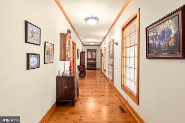 12520 Paige Ln, Fredericksburg, VA 22407 - photo 45