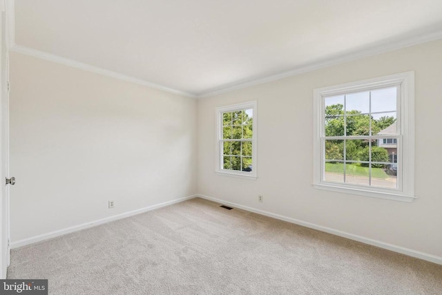 10402 Campbell Dr, Fredericksburg, VA 22408 - photo 25