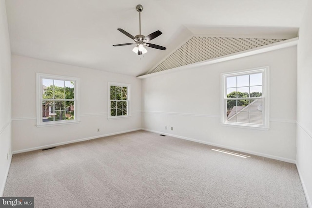 10402 Campbell Dr, Fredericksburg, VA 22408 - photo 16