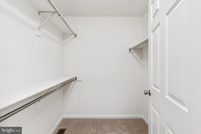 10402 Campbell Dr, Fredericksburg, VA 22408 - photo 21
