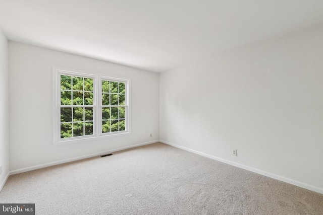 10402 Campbell Dr, Fredericksburg, VA 22408 - photo 23