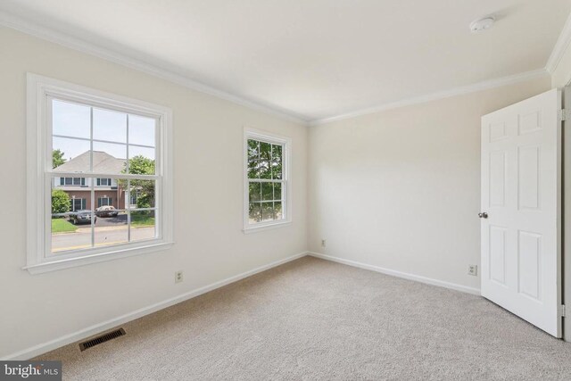 10402 Campbell Dr, Fredericksburg, VA 22408 - photo 26