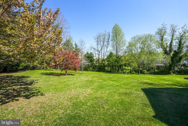 7329 Cloverhill Rd, Spotsylvania, VA 22551 - view of green lawn