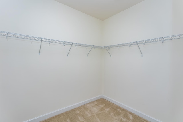 3267 Battery Park Pl, Rockingham, VA 22801 - walk in closet featuring light colored carpet