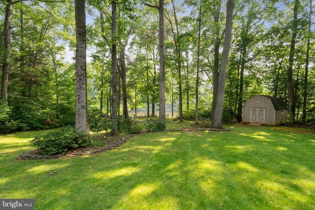 12800 Pickett Ct, Spotsylvania, VA 22551 - view of grassy yard with a shed