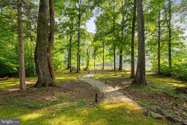 12800 Pickett Ct, Spotsylvania, VA 22551 - view of yard