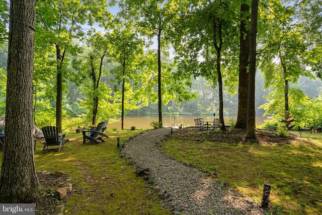 12800 Pickett Ct, Spotsylvania, VA 22551 - surrounding community with a water view