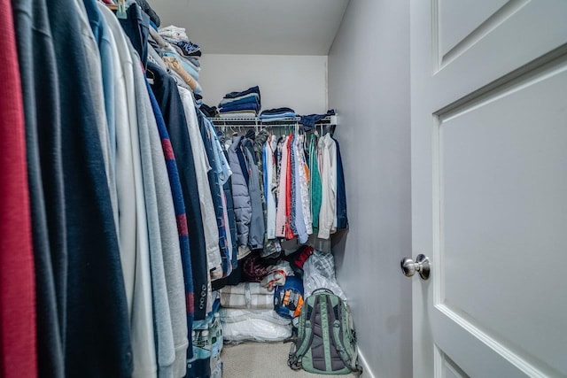 3436 Charleston Blvd, Rockingham, VA 22801 - view of spacious closet
