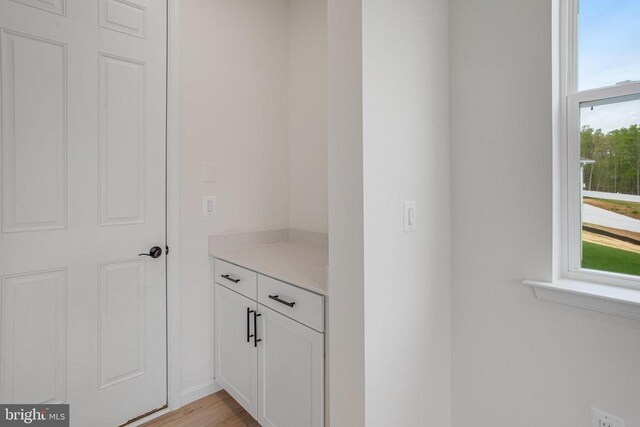 bathroom featuring wood finished floors