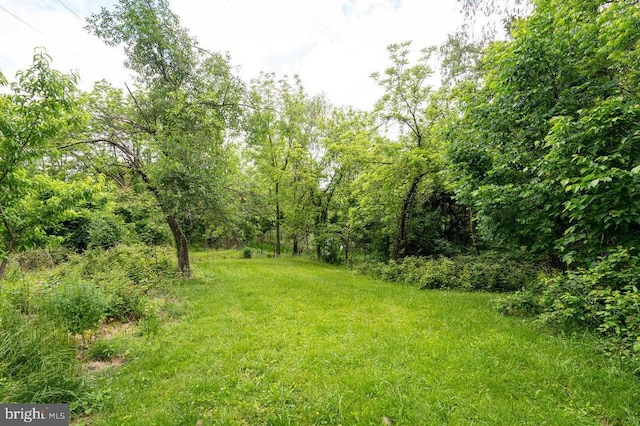 228 Black Bear Ln, Stanley, VA 22851 - view of yard
