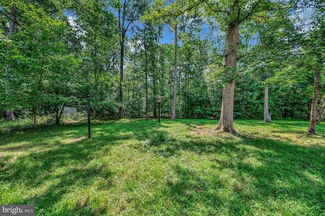 117 Saylers Creek Rd, Locust Grove, VA 22508 - photo 30