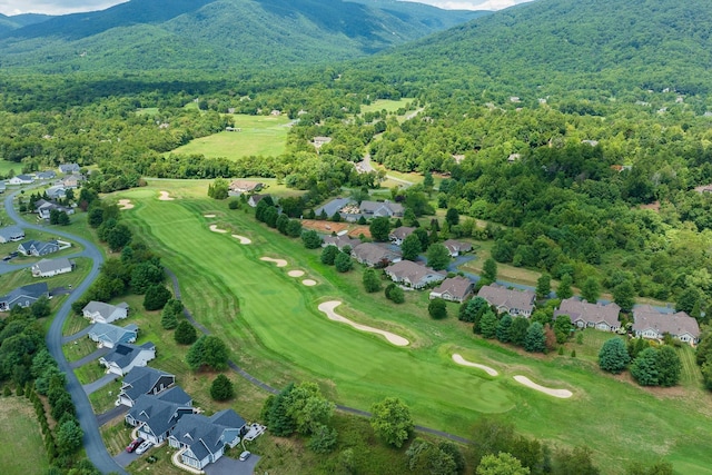 233 Stone Chimneys Rd, Nellysford, VA 22958