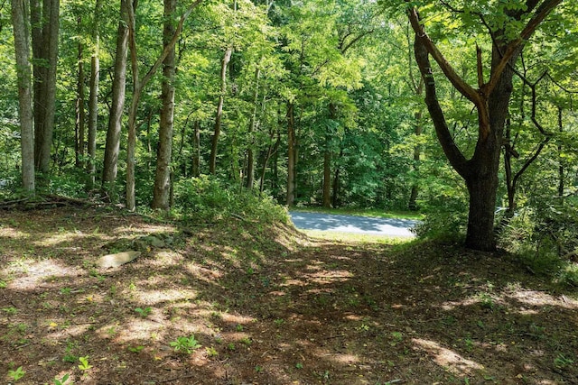 233 Stone Chimneys Rd, Nellysford, VA 22958