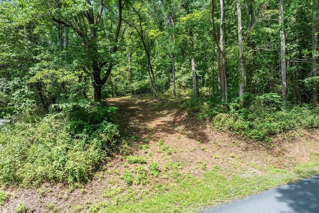 233 Stone Chimneys Rd, Nellysford, VA 22958