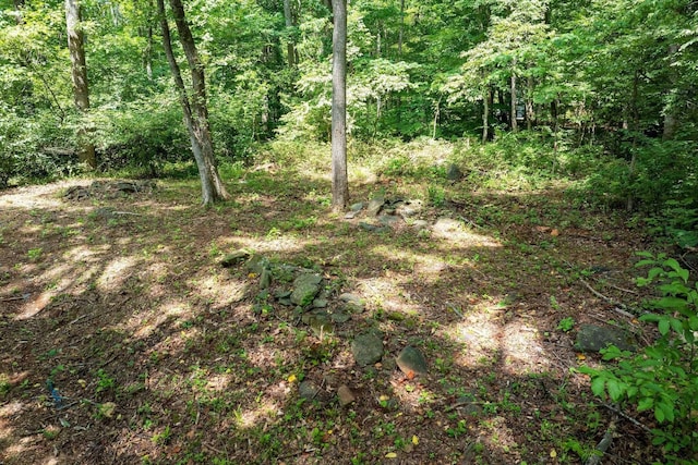 233 Stone Chimneys Rd, Nellysford, VA 22958