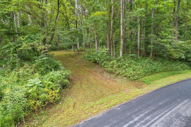 233 Stone Chimneys Rd, Nellysford, VA 22958