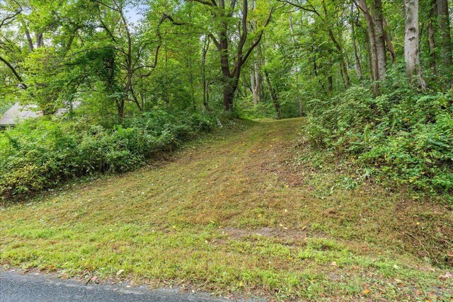 233 Stone Chimneys Rd, Nellysford, VA 22958